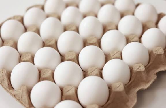 Nicee Eggs (గుడ్లు)